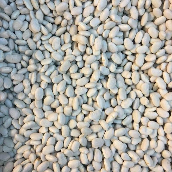 BenimAktar Fasulye Erzincan Dermason 8.5 mm 1 Kg - 2