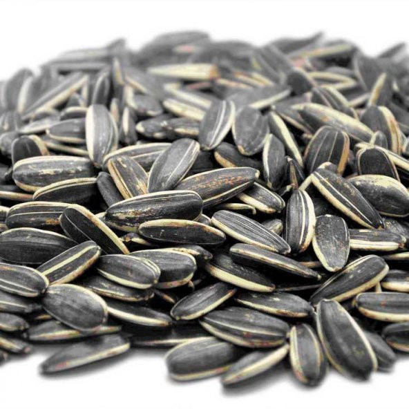 BenimAktar Çekirdek Dakota Kavrulmamış Tuzsuz 1 Kg - 2