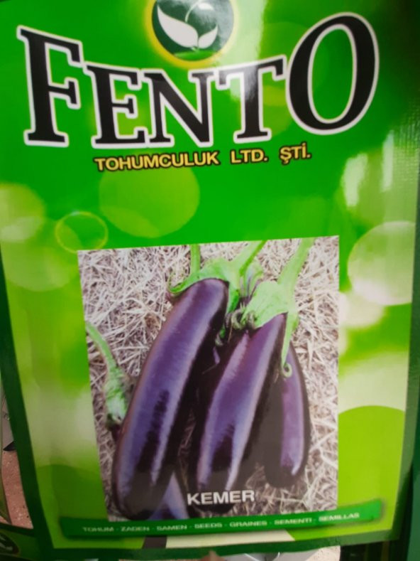 kemer patlıcan tohumu fento 10 paket