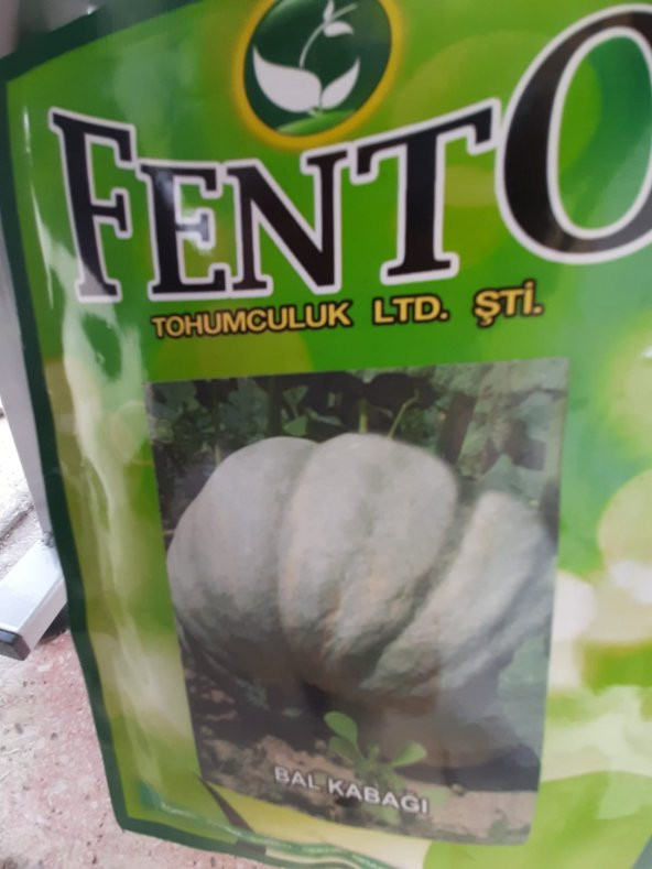 bal kabağı  tohumu fento 1 paket