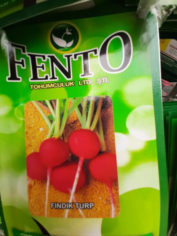 fındık turp tohumu fento 10 paket