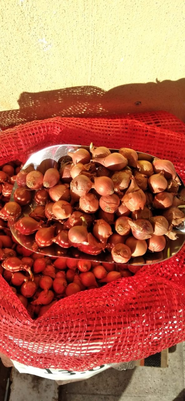 ıska 1 kg yeni mahsul