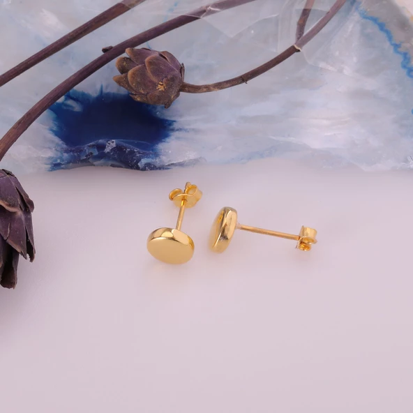 925 Ayar Gümüş Bombeli Daire Küpe Çap:7 E00248 ürün görseli 1