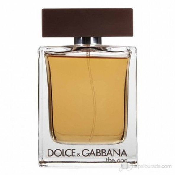 Dolce Gabbana The One Erkek Edt 100Ml