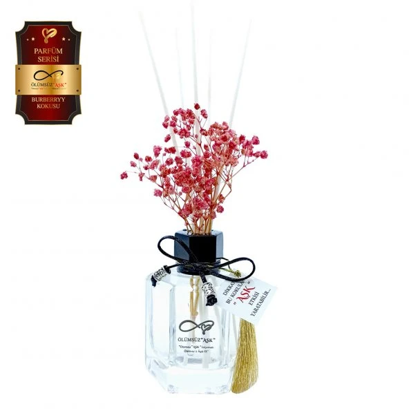 Ölümsüz Aşk Parfüm Serisi Burberryy Kokulu 5 x 120 ml Köşeli Şişe Bambu Çubuklu Ortam Kokusu ürün görseli 1