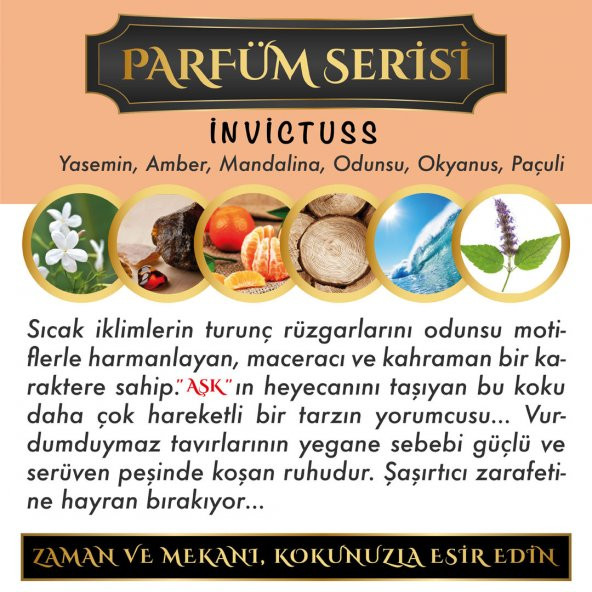 Meczub Parfüm Serisi İnvictuss Kokulu 3 x 12 ml Elma Şişe Oto Kokusu - 2