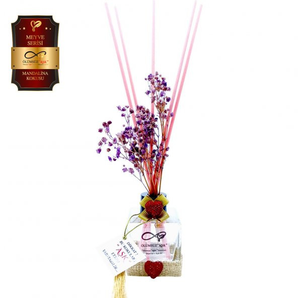 Ölümsüz Aşk Meyve Serisi Mandalina Kokulu 60 ml küp Şişe Bambu Çubuklu Ortam Kokusu