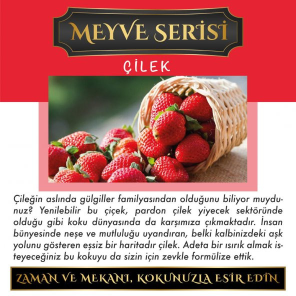 Ölümsüz Aşk Meyve Serisi Çilek Kokulu 5 x 8 ml Silindir Şişe Oto Kokusu - 2