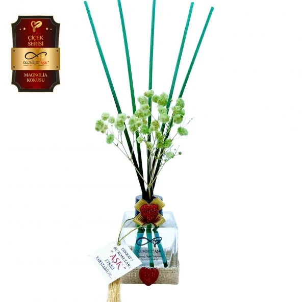 Ölümsüz Aşk Çiçek Serisi Magnolia Kokulu 5 x 60 ml küp Şişe Bambu Çubuklu Ortam Kokusu ürün görseli 1
