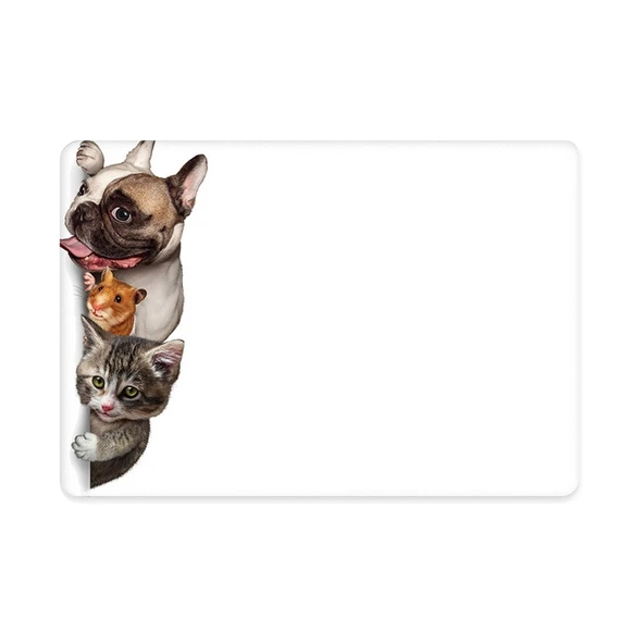 Macbook Air M1 Kılıf 13inç Animal01NL (TouchID'li M1 Air) A2337 A2179 A1932 ile Uyumlu - Resim 4