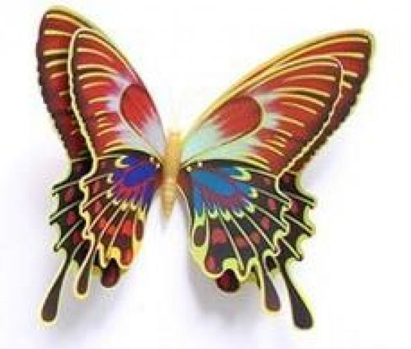 ÇİFT KANATLI KELEBEK ÖZEL KELEBEKLER 3D PVC DUVAR VE BUZDOLABI SÜSÜ 12Lİ STİCKER ÜÇ BOYUTLU CANLI - 12