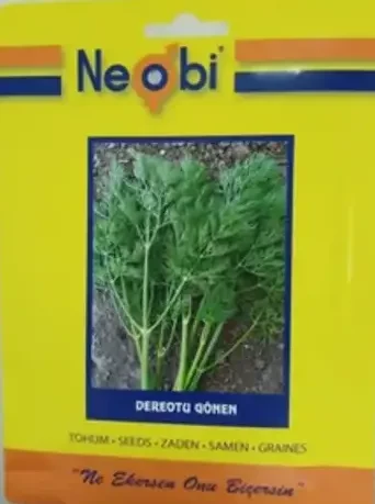 Dereotu Gönen Tohumu 10 gr 1 Adet - 2