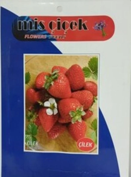 Miss Çilek Tohumu 10 gr 1 Adet - 3