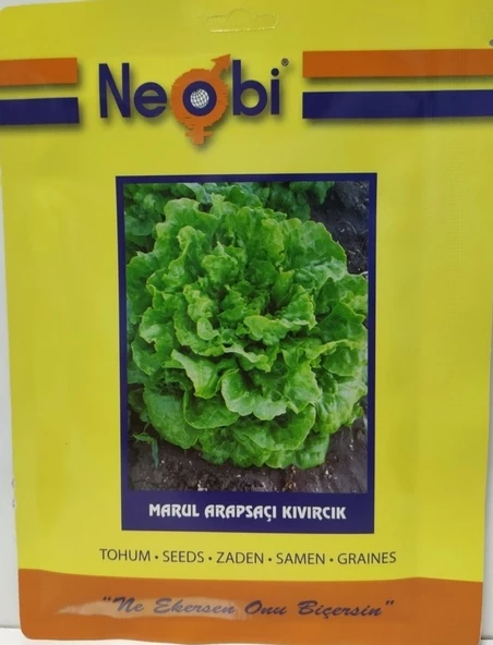 Arapsaçı Kıvırcık Marul Tohumu 10 gr - 2