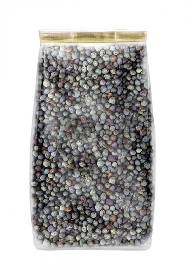 Menengiç Tohumu Kavrulmamış 500 g e - 2