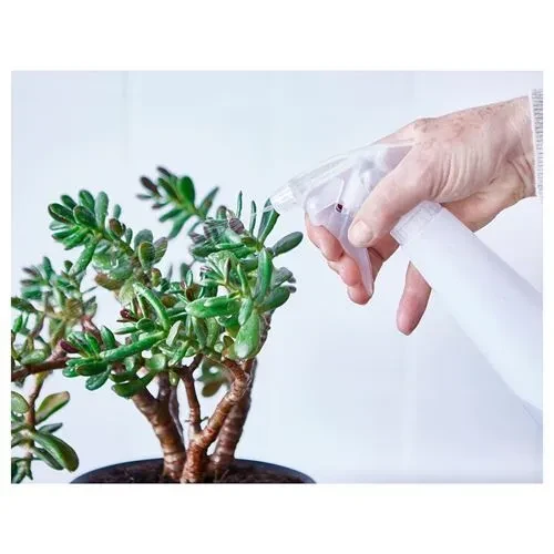IKEA TOMAT Sprey Şişesi Beyaz 35 cl Sulama Kabı - 3