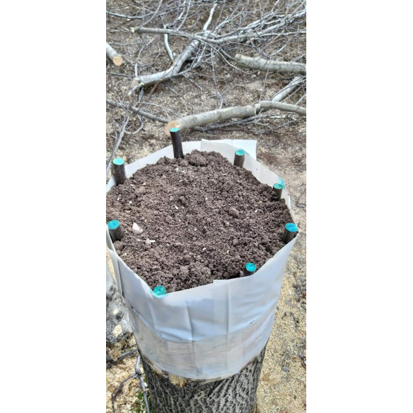 GMT Blue-Guard Sıvı Aşı ve Budama Macunu 1 Kg - 3