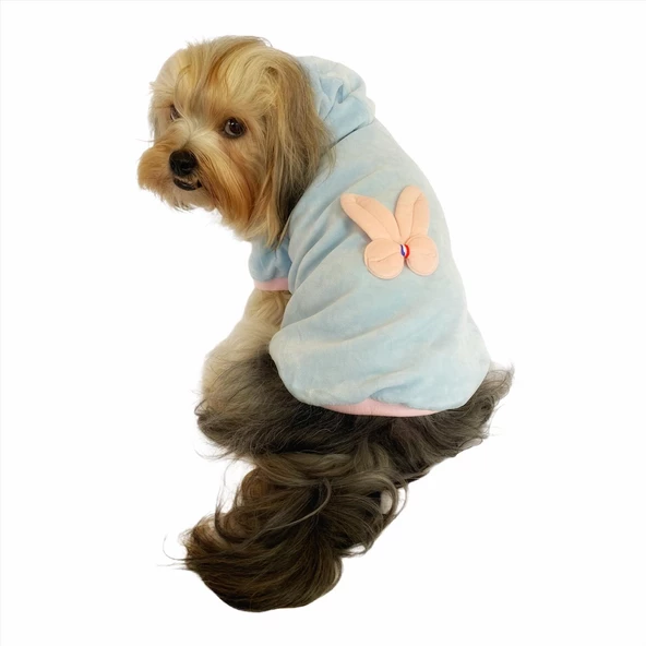 Blue Pink Bunny Kapşonlu Sweat by Kemique Köpek Kazağı ürün görseli 1