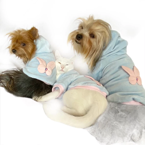 Blue Pink Bunny Sweatshirt Kedi Süeteri Kedi Kıyafeti - Resim 6