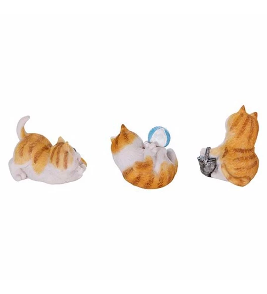 Pretty 3'lü Kedi Biblosu 5x7 cm - 4