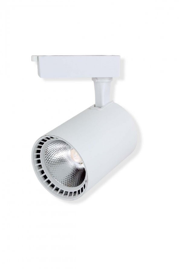 NOAS Paris Model  30W Gün Işığı LED Ray Spot  Siyah / Beyaz Kasa  Seçenekleri - 4