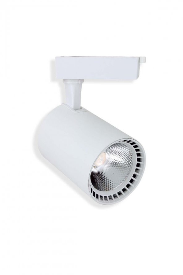 NOAS Paris Model  30W Gün Işığı LED Ray Spot  Siyah / Beyaz Kasa  Seçenekleri - 6