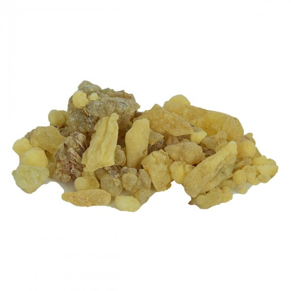 LokmanAVM Ak Günlük Sakızı Doğal 100 Gr Paket - 5