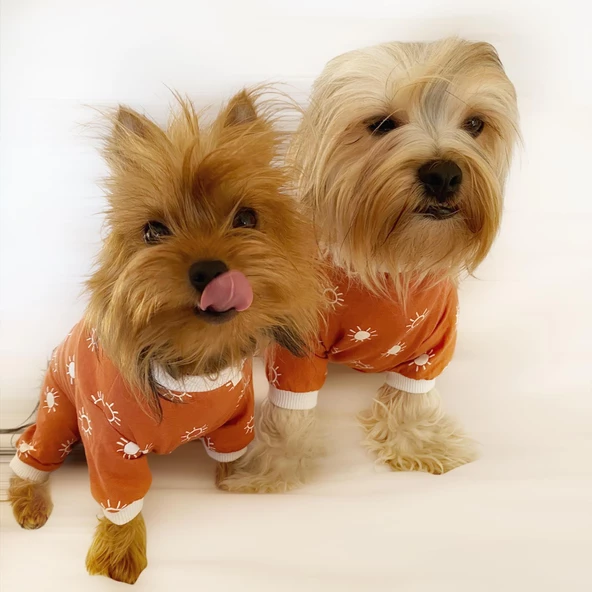 Sunny Penye Tulum Köpek Tulumu  Köpek Elbisesi - 2