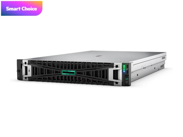 HPE DL380 Gen11 Silver 4510-64G-2x960G-2U (P71674) - Resim 2