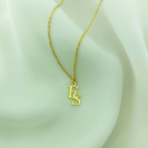 Vaoov 925 Ayar Gümüş İki Harfli Minimal Kolye - Resim 4