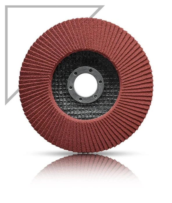 Karbosan Flap Disk Zımpara 115mm - 60 Kum - 2