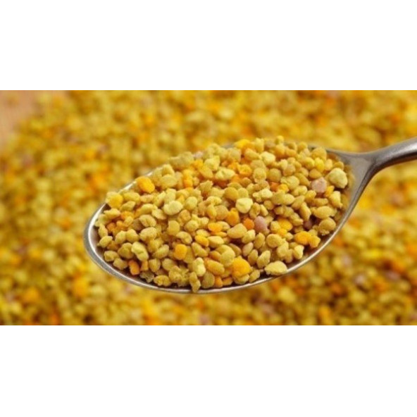 Saf Arı Poleni 100 Gr Ücretsiz Kargo ürün görseli