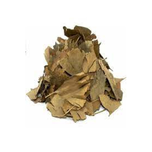 Ginkgo Biloba Yaprağı 100 Gr Ücretsiz Kargo