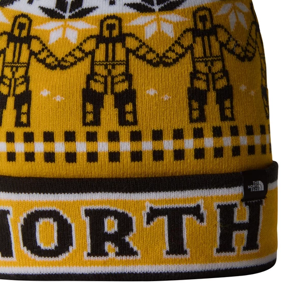 The North Face Ski Tuke Unisex Bere - 3