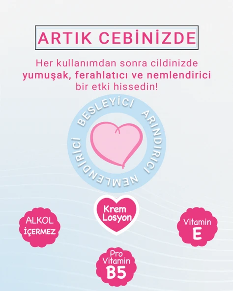 Paddlers Cep Mendili 36x15 li Koli (540 Yaprak) - Resim 2