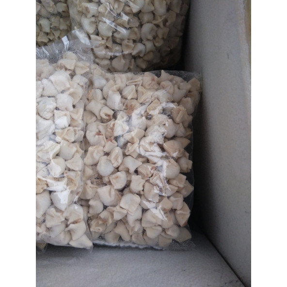 EV MANTISI (1kg) - 3