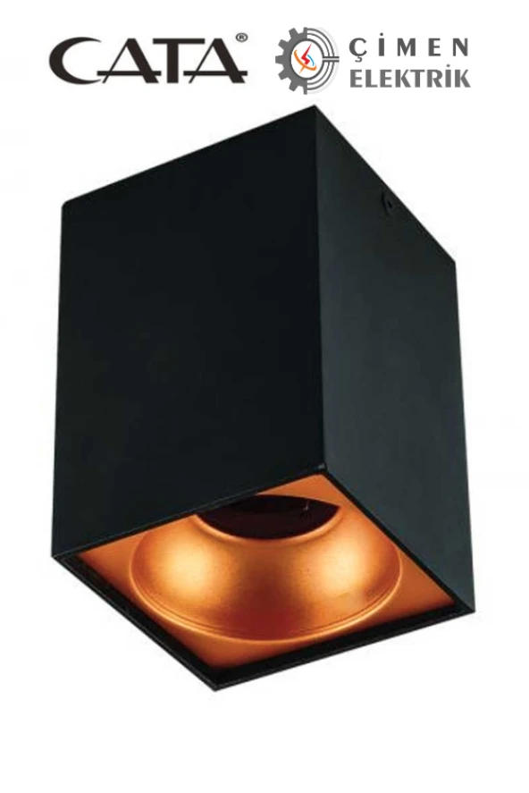 CATA CT 5420 Siyah Bakır Dekoratif Spot Kasa G-10 Duy