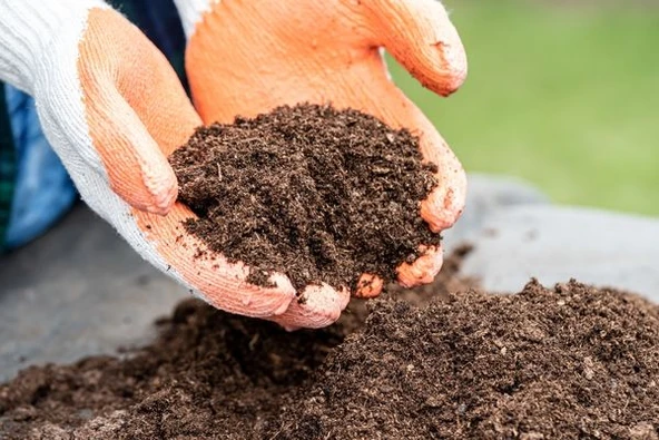 Çim Kapak Toprağı (10 Kg) Çim Ekim Toprağı Çim Örtü Toprağı - Resim 3
