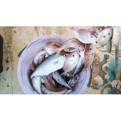 Misina İpi 300 Metre ürün görseli 1