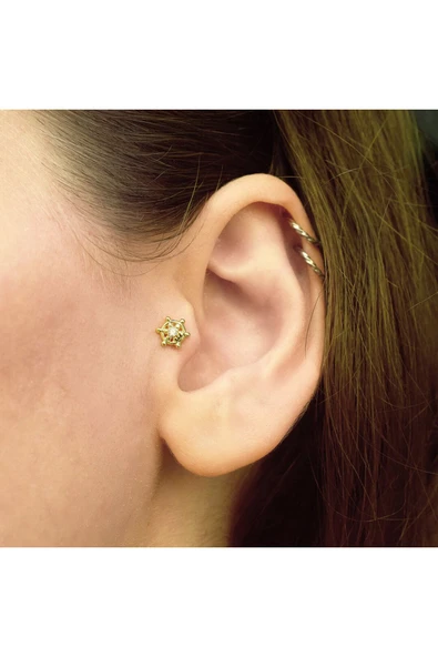 Gemi Dümeni Tragus Küpe