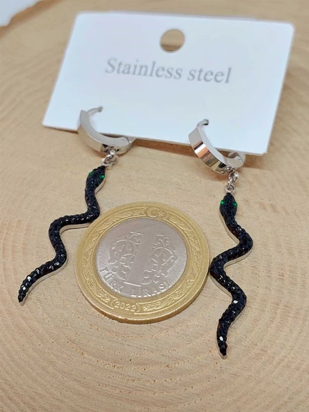 Yılan Temalı Gümüş Renkli Çelik Küpe (54518) - Resim 3