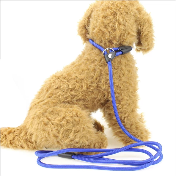 Köpek Boğma Eğitim Tasması Orta Irk 1 Cm - 7