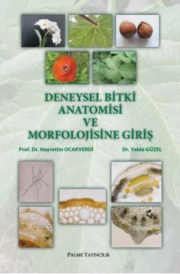 Deneysel Bitki Anatomisi Ve Morfolojis.giriş-palme