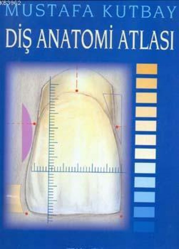 Diş Anatomisi Atlası Palme ürün görseli