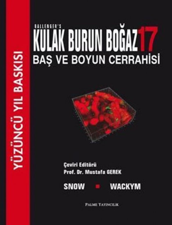 Kulak Burun Boğaz Baş Ve Boyun Cerrahisi - Palme