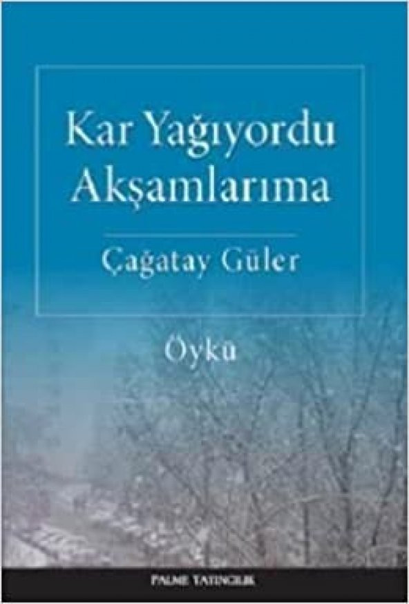 KAR YAĞIYORDU AKŞAMLARIMA ( PALME )