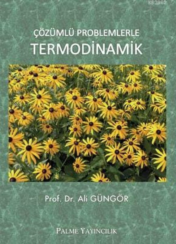 Çözümlü Problemlerle Termodinamik - Palme