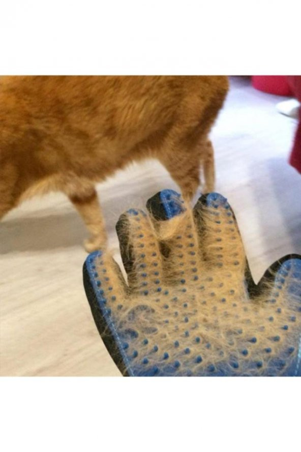 Kedi Köpek Tüy Toplama Kaşıma Yıkama Ve Banyo Eldiveni Evcil Hayvan Pet Glove Tarama Fırçası - Resim 4