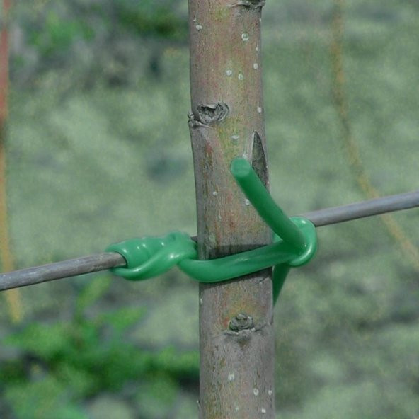 Elastik Meyve Fidanı Bağlama İpi (10 Fidan İçin ) - 5