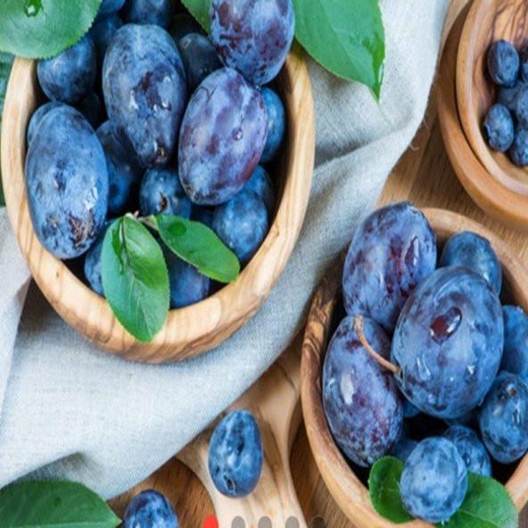 Mürdüm Eriği Tohumu (5 adet)